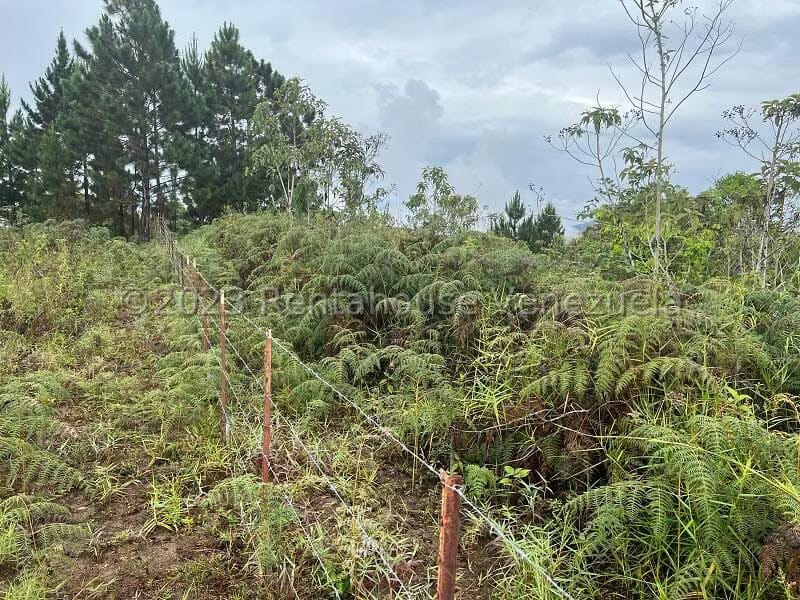 Terreno (Residencial) en Venta en Alto Hatillo, Distrito Metropolitano - 17