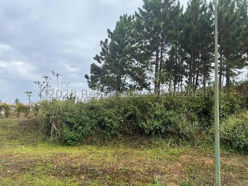 Terreno (Residencial) en Venta en Alto Hatillo, Distrito Metropolitano - 3