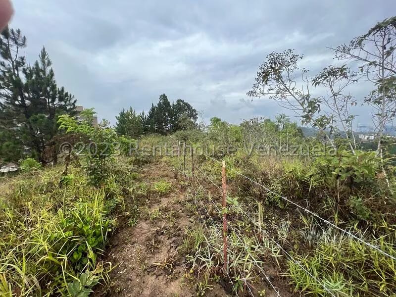 Terreno (Residencial) en Venta en Alto Hatillo, Distrito Metropolitano - 21