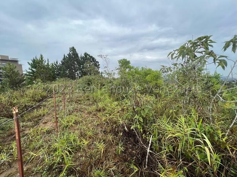 Terreno (Residencial) en Venta en Alto Hatillo, Distrito Metropolitano - 22