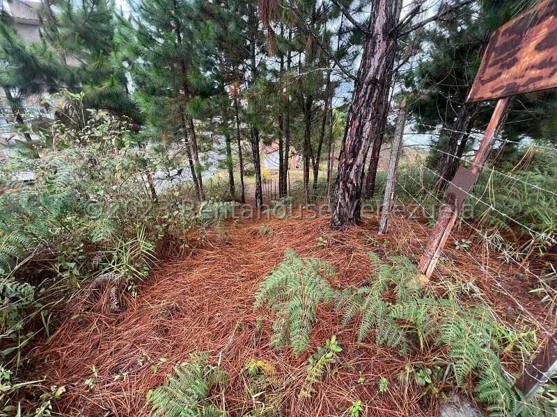 Terreno (Residencial) en Venta en Alto Hatillo, Distrito Metropolitano - 23