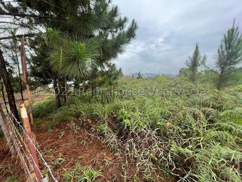 Terreno (Residencial) en Venta en Alto Hatillo, Distrito Metropolitano - 24