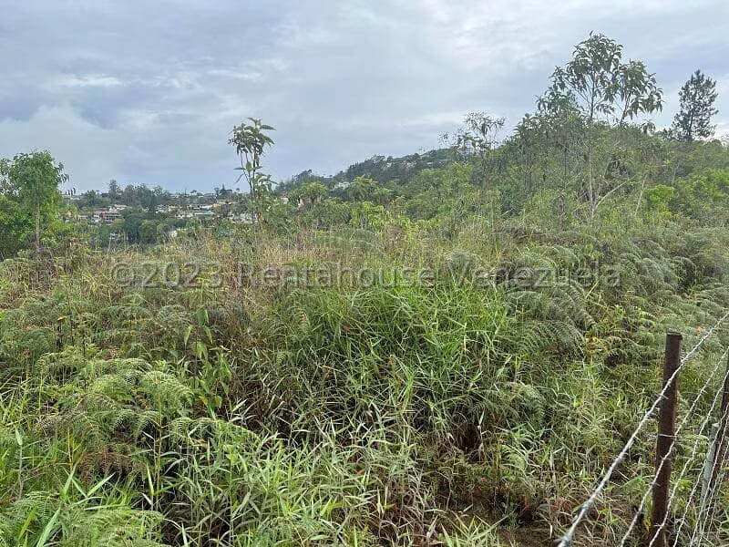 Terreno (Residencial) en Venta en Alto Hatillo, Distrito Metropolitano - 4