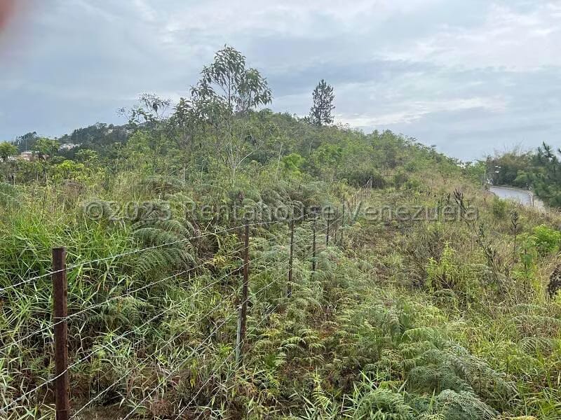 Terreno (Residencial) en Venta en Alto Hatillo, Distrito Metropolitano - 5