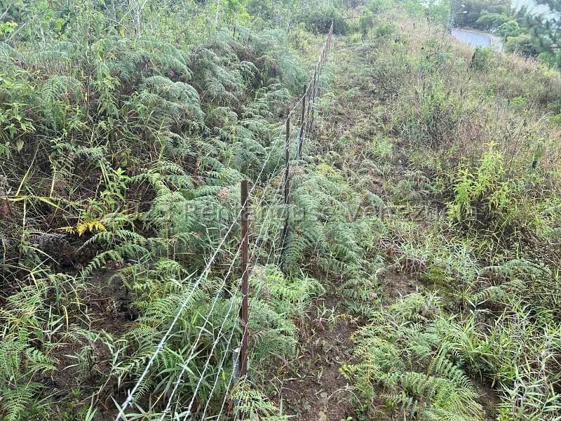 Terreno (Residencial) en Venta en Alto Hatillo, Distrito Metropolitano - 6