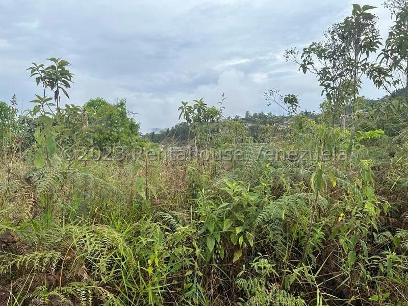 Terreno (Residencial) en Venta en Alto Hatillo, Distrito Metropolitano - 8