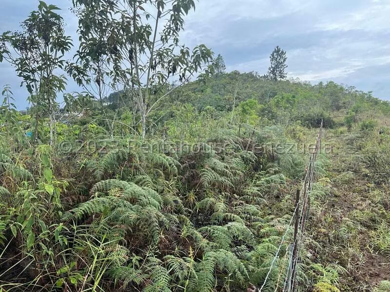 Terreno (Residencial) en Venta en Alto Hatillo, Distrito Metropolitano - 9