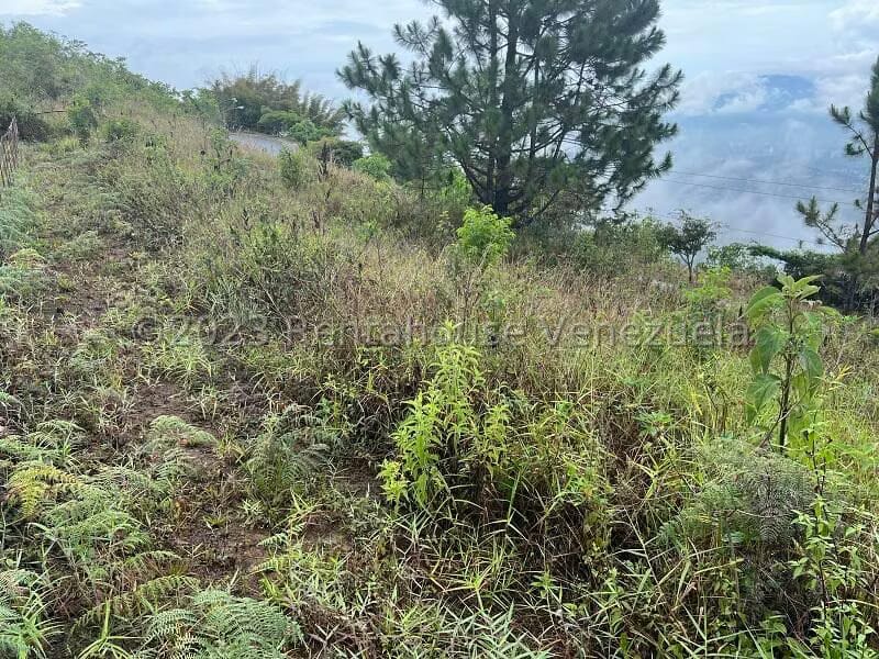 Terreno (Residencial) en Venta en Alto Hatillo, Distrito Metropolitano - 10