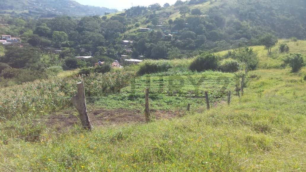 TERRENO EN EXCELENTE ZONA TURISTICA - 6