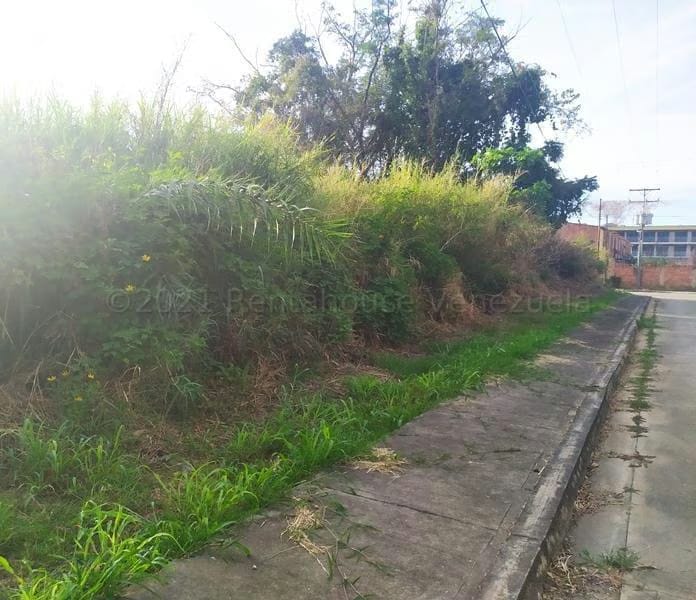 Terreno (Residencial) en Venta en Manantial, Carabobo - 16