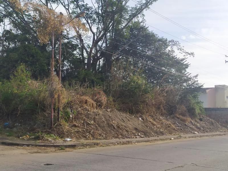 Terreno (Residencial) en Venta en Manantial, Carabobo - 25
