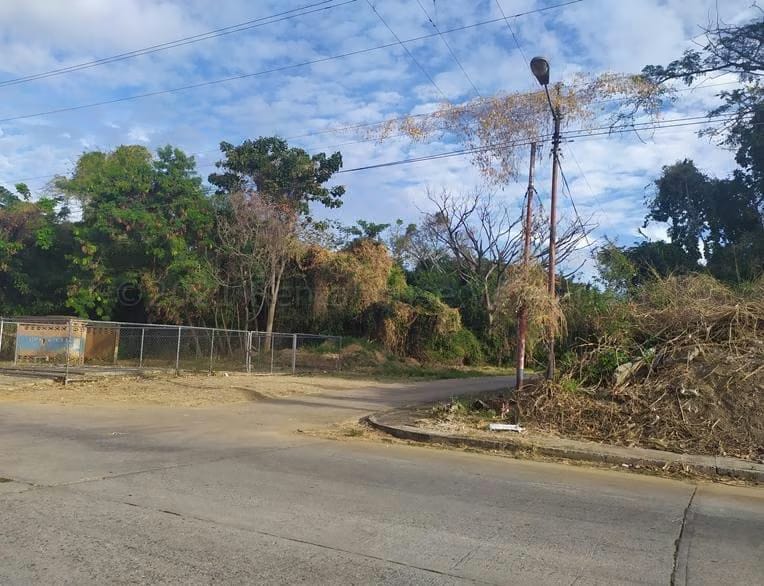 Terreno (Residencial) en Venta en Manantial, Carabobo - 4