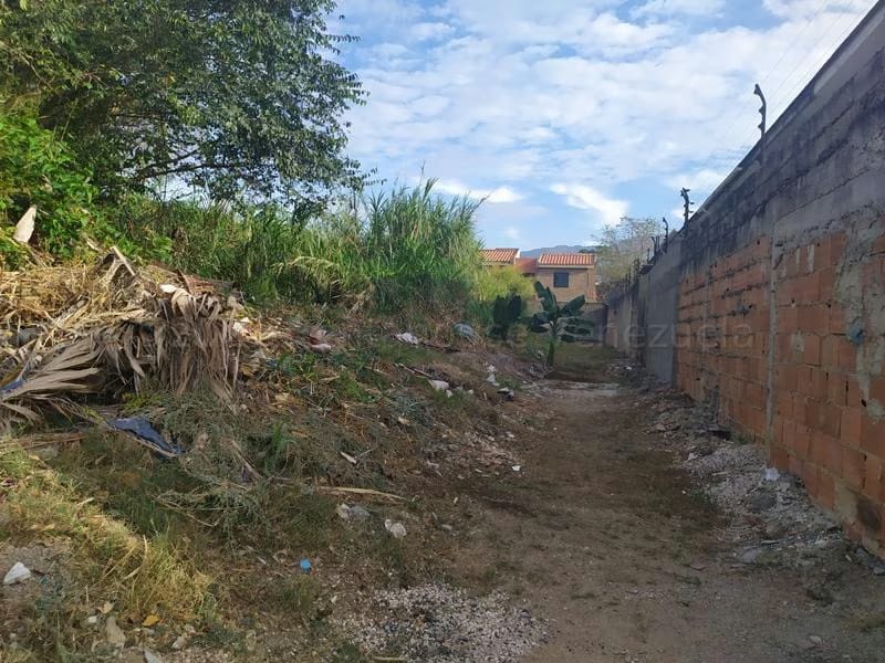 Terreno (Residencial) en Venta en Manantial, Carabobo - 6