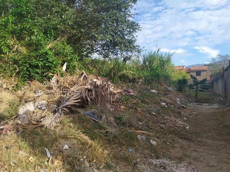 Terreno (Residencial) en Venta en Manantial, Carabobo - 7