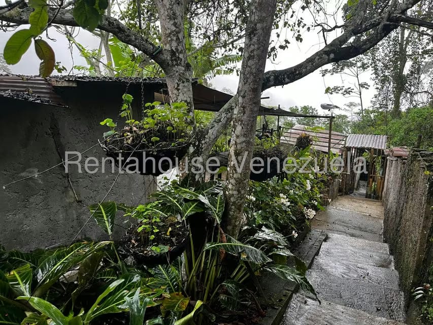Casa (Duplex) en Venta en Parcelamiento Cortada del guayabo, Miranda - 54