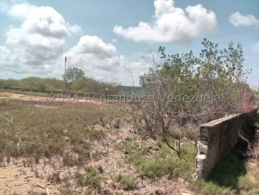 Terreno (Comercial) en Venta en Playa Norte, Falcon - 3