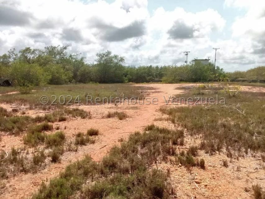 Terreno (Comercial) en Venta en Playa Norte, Falcon - 4