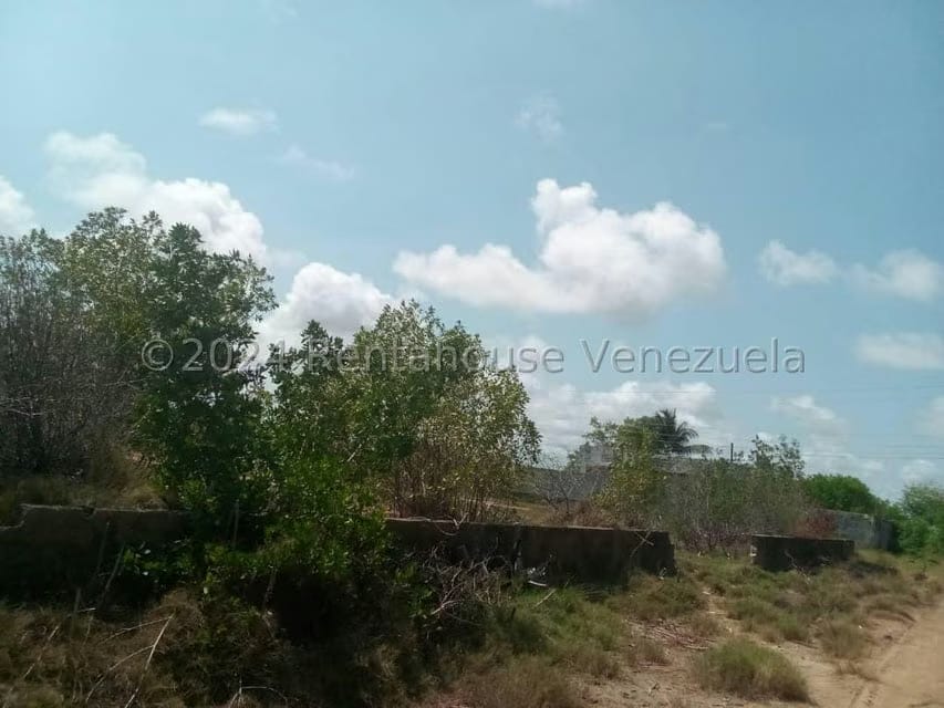 Terreno (Comercial) en Venta en Playa Norte, Falcon - 5