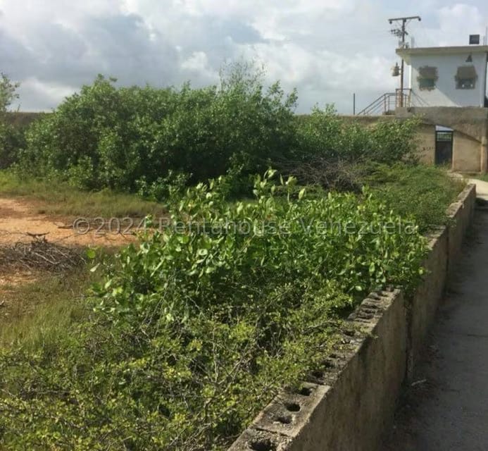 Terreno (Comercial) en Venta en Playa Norte, Falcon - 8