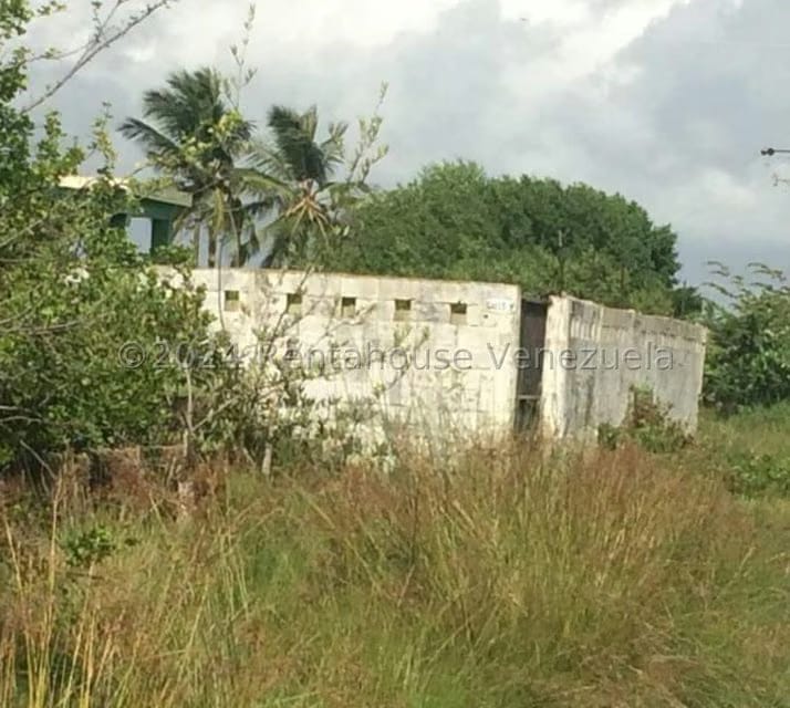 Terreno (Comercial) en Venta en Playa Norte, Falcon - 10