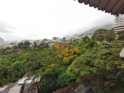 Apartamento en venta Urbanización Los Caobos - 10