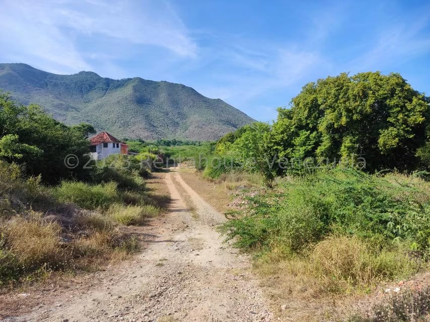 Terreno (Residencial) en Venta en Atamo Norte, Nueva Esparta - 2
