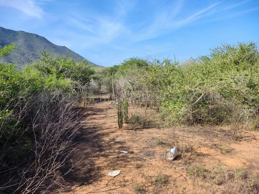 Terreno (Residencial) en Venta en Atamo Norte, Nueva Esparta - 11