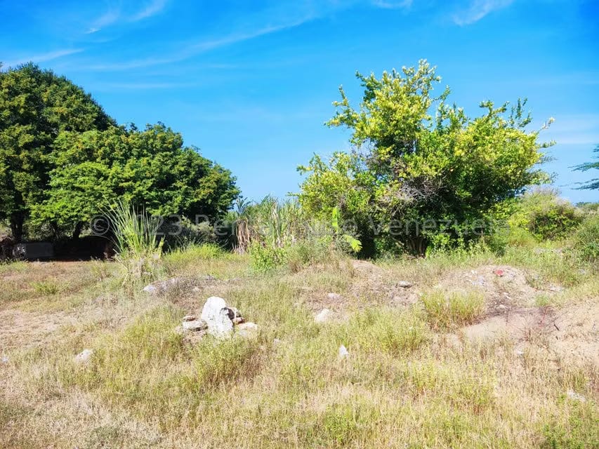 Terreno (Residencial) en Venta en Atamo Norte, Nueva Esparta - 12