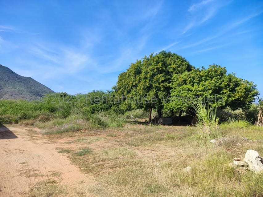Terreno (Residencial) en Venta en Atamo Norte, Nueva Esparta - 13