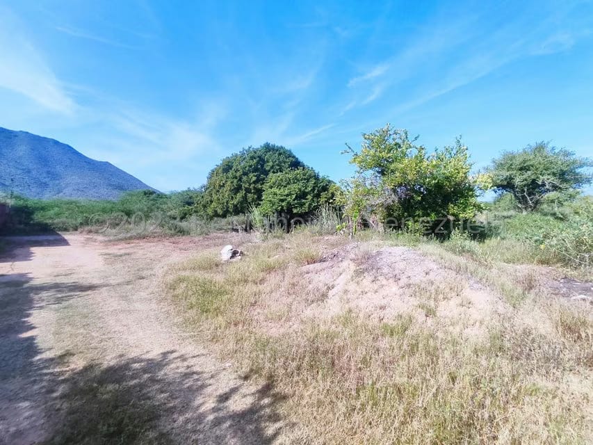 Terreno (Residencial) en Venta en Atamo Norte, Nueva Esparta - 3