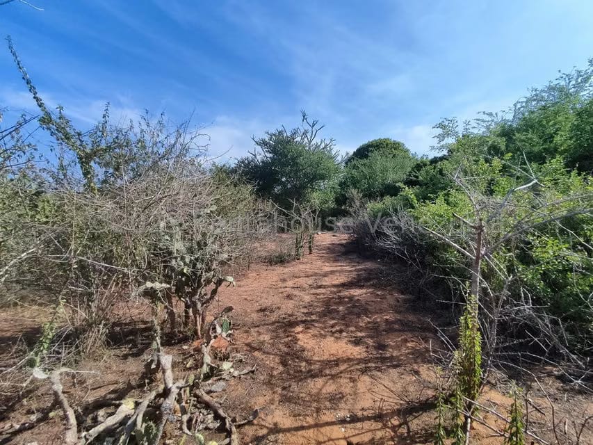 Terreno (Residencial) en Venta en Atamo Norte, Nueva Esparta - 8