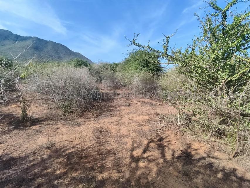 Terreno (Residencial) en Venta en Atamo Norte, Nueva Esparta - 10
