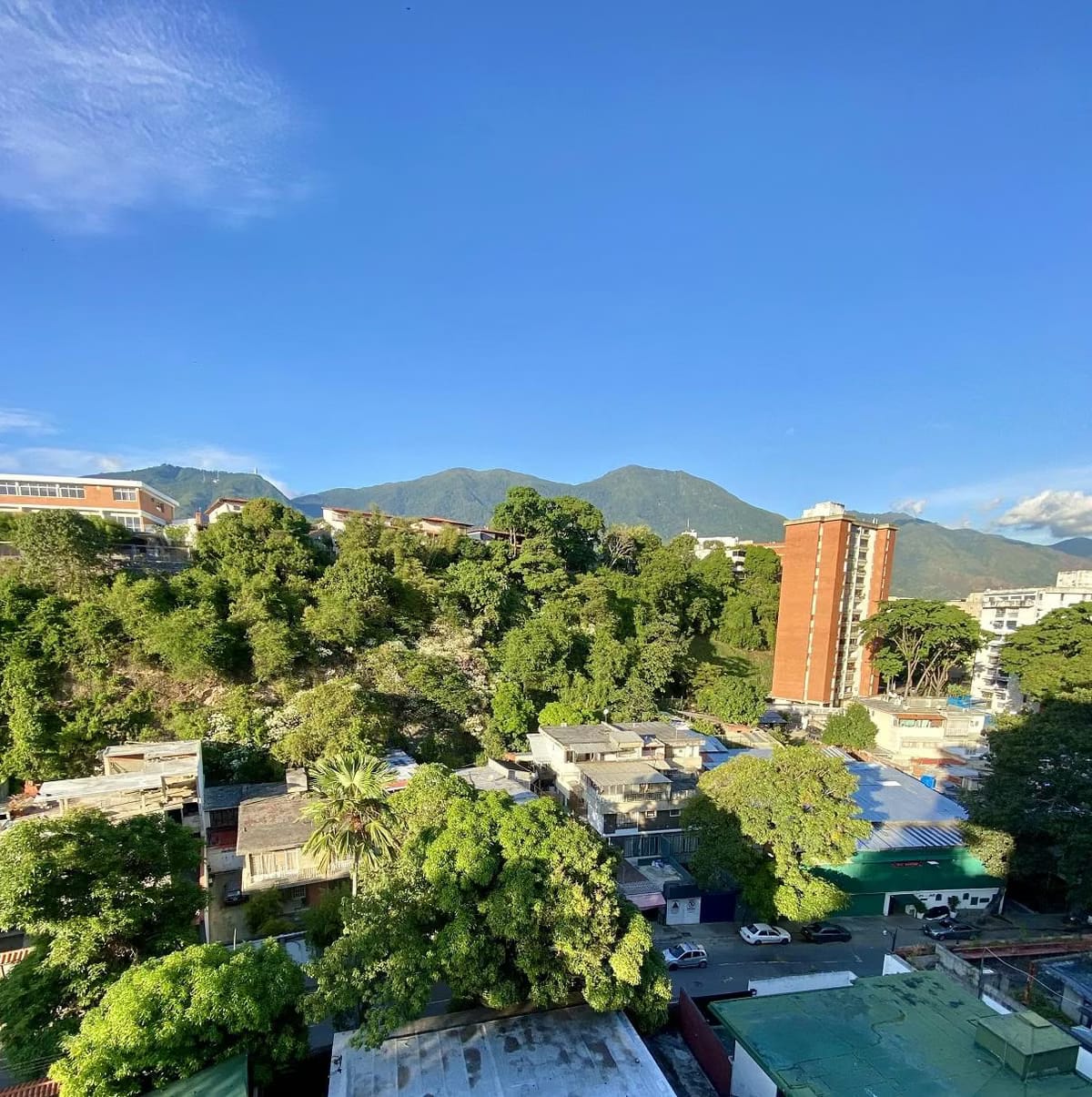 Oficina en Alquiler - Urb. Colinas de Bello Monte - Baruta - Estado Miranda - 8