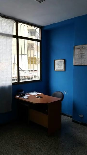 Comercial (Local Comercial) en Venta en Plaza Venezuela, Distrito Metropolitano - 16