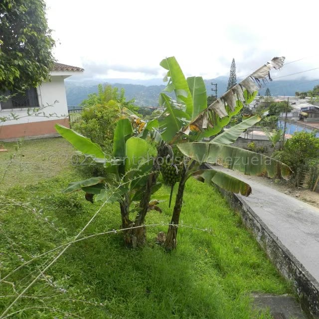 Casa (1 Nivel) en Venta en Hoyo de La Puerta, Distrito Metropolitano - 21