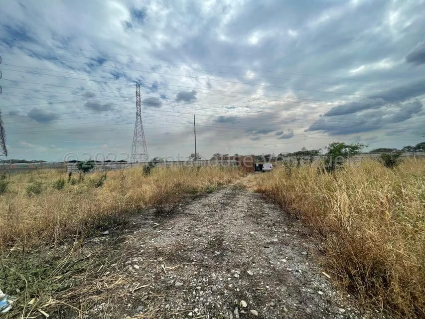Terreno (Industrial) en Venta en Centro, Portuguesa - 14