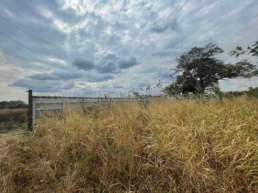 Terreno (Industrial) en Venta en Centro, Portuguesa - 15