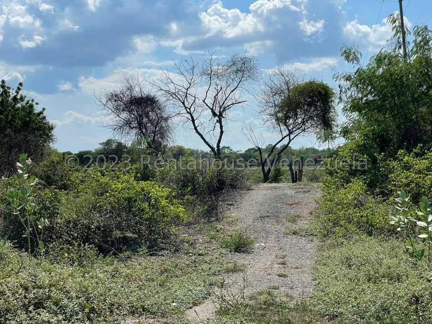 Terreno (Residencial) en Venta en Tucacas, Falcon - 2