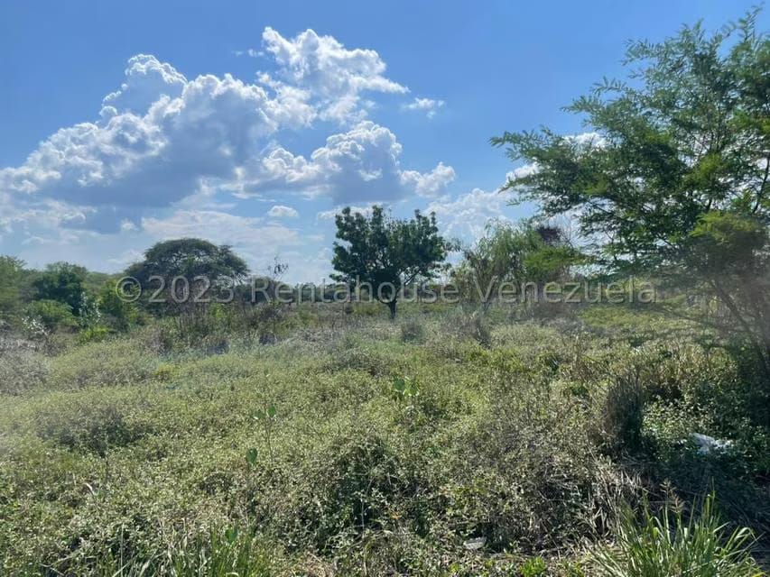 Terreno (Residencial) en Venta en Tucacas, Falcon - 12