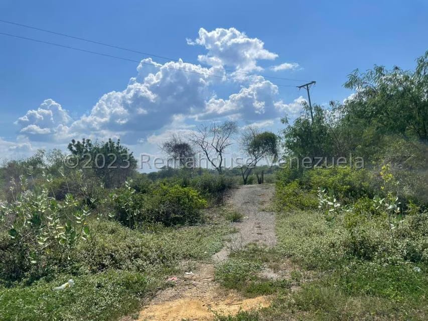 Terreno (Residencial) en Venta en Tucacas, Falcon - 15