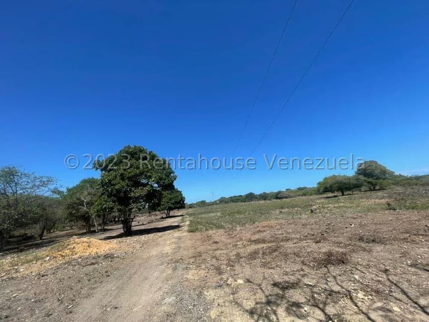 Terreno (Residencial) en Venta en Tucacas, Falcon - 6