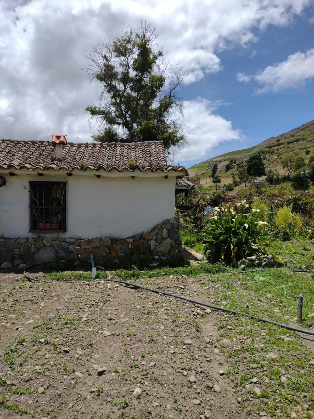 Casa de Campo en Venta - La Toma Mucuchíes - Estado Mérida - 2