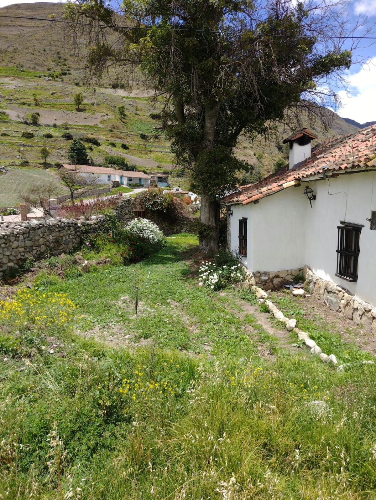 Casa de Campo en Venta - La Toma Mucuchíes - Estado Mérida - 4