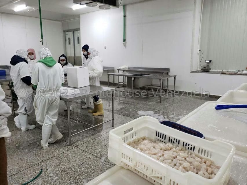 Negocios y Empresas (Alimentos y Bebidas) en Venta en Vega Arriba, Miranda - 28