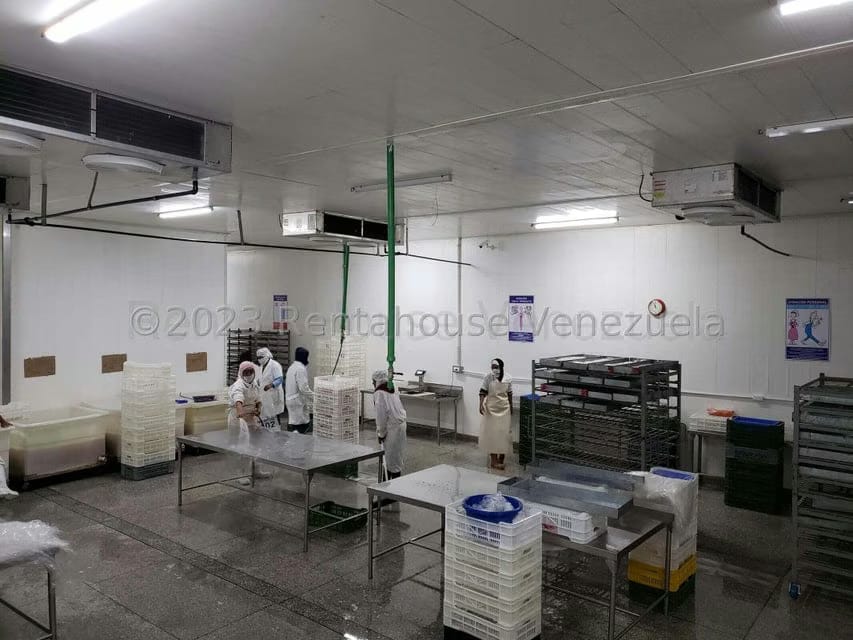 Negocios y Empresas (Alimentos y Bebidas) en Venta en Vega Arriba, Miranda - 29