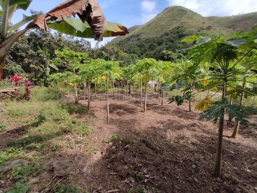 Casa (1 Nivel) en Venta en Asentamiento Campesino Santa Rosalia, Aragua - 17