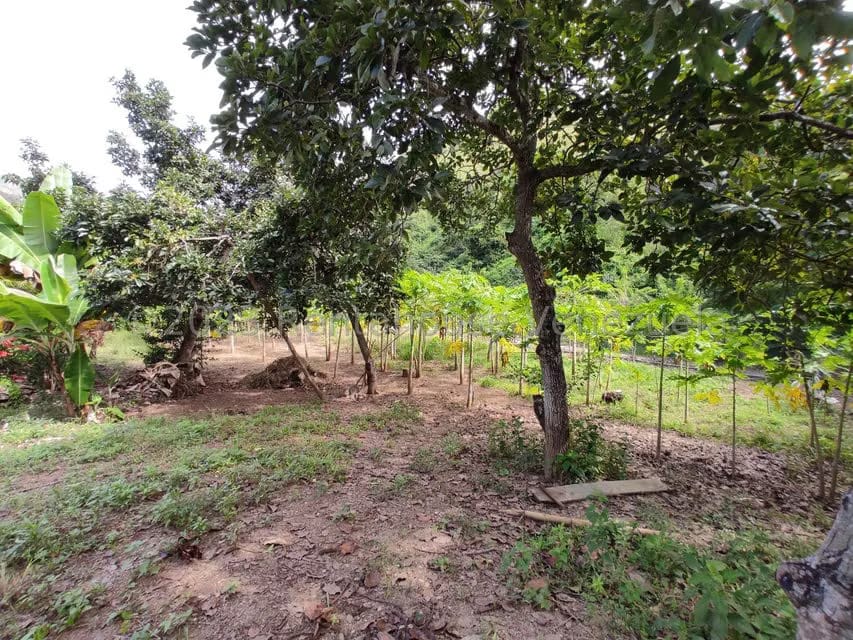 Casa (1 Nivel) en Venta en Asentamiento Campesino Santa Rosalia, Aragua - 20