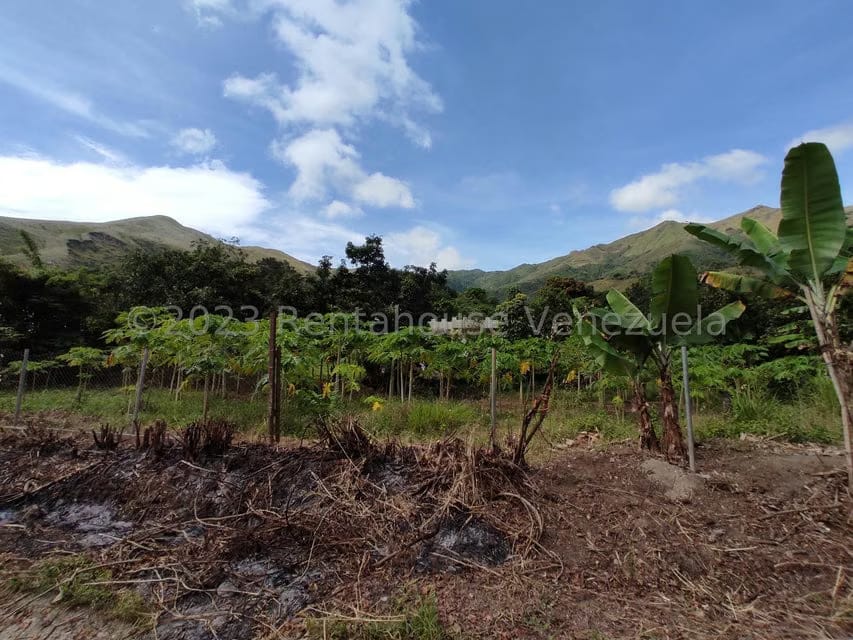 Casa (1 Nivel) en Venta en Asentamiento Campesino Santa Rosalia, Aragua - 21