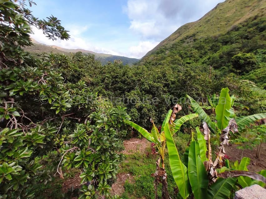 Casa (1 Nivel) en Venta en Asentamiento Campesino Santa Rosalia, Aragua - 26