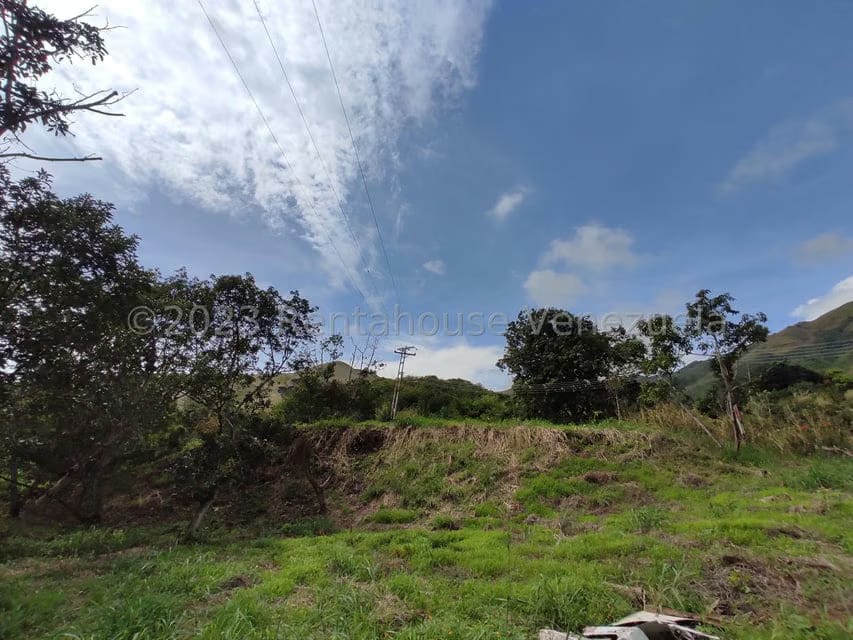 Casa (1 Nivel) en Venta en Asentamiento Campesino Santa Rosalia, Aragua - 29